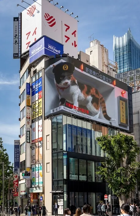 Brand Implementation